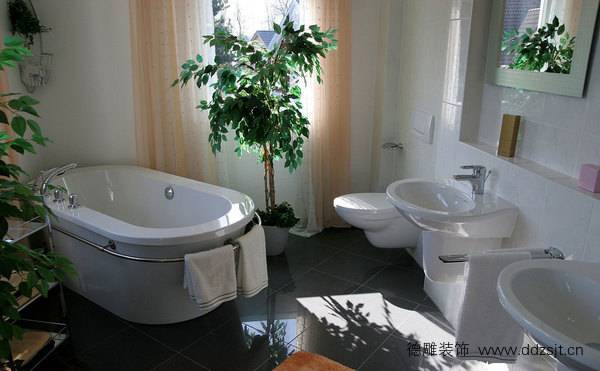 浴室植物摆放效果图